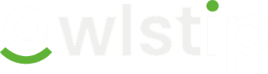 Owlstip Logo
